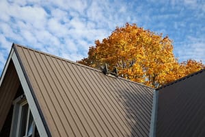 Metal Roofing Services